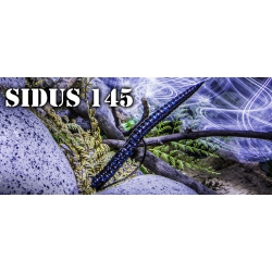 MOLIX  SIDUS 145